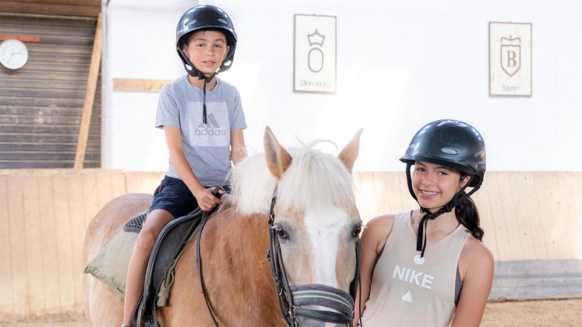 K102410horse